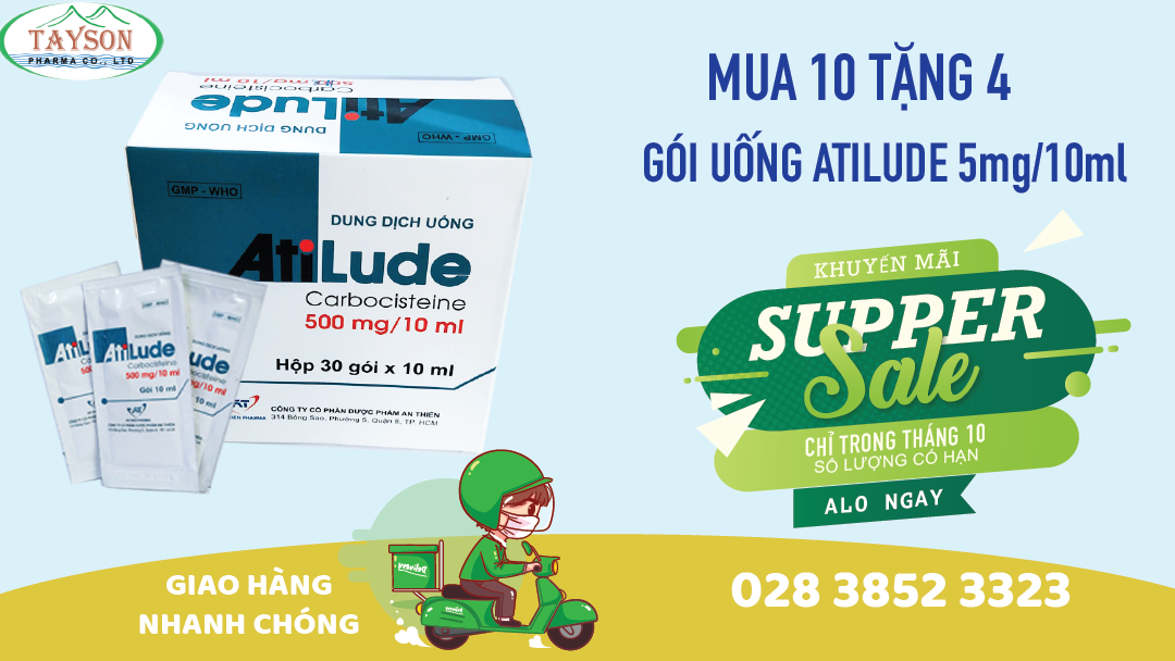 Atilude ống